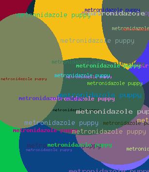 Metronidazole puppy